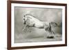 Dreamstate Equus-null-Framed Art Print