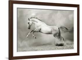 Dreamstate Equus-null-Framed Art Print