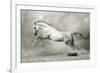 Dreamstate Equus-null-Framed Art Print