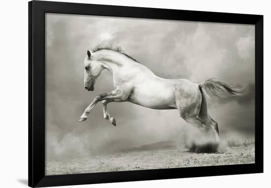 Dreamstate Equus-null-Framed Art Print