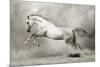 Dreamstate Equus-null-Mounted Art Print