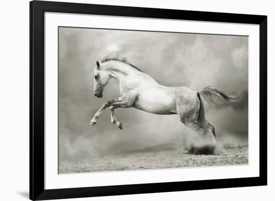 Dreamstate Equus-null-Framed Art Print