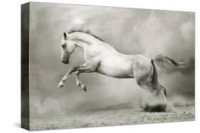 Dreamstate Equus-null-Stretched Canvas