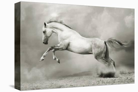 Dreamstate Equus-null-Stretched Canvas