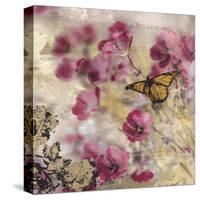 Dreamtime Butterflies 1-Matina Theodosiou-Stretched Canvas