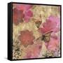 Dreamtime Butterflies 2-Matina Theodosiou-Framed Stretched Canvas