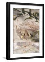 Dreamtime Peony 1-Matina Theodosiou-Framed Art Print