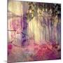 Dreamy and Fairy Photographic Layer Work of an Autumn Forest-Alaya Gadeh-Mounted Photographic Print