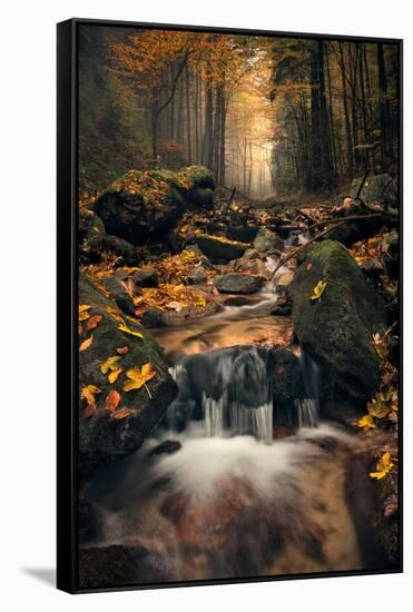 Dreamy Autumn-Stefan Hefele-Framed Stretched Canvas