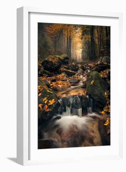 Dreamy Autumn-Stefan Hefele-Framed Giclee Print