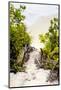 Dreamy Bali - Beach Path-Philippe HUGONNARD-Mounted Photographic Print