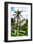 Dreamy Bali - Beautiful Rice Terraces Ubud-Philippe HUGONNARD-Framed Photographic Print