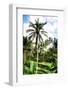 Dreamy Bali - Beautiful Rice Terraces Ubud-Philippe HUGONNARD-Framed Photographic Print