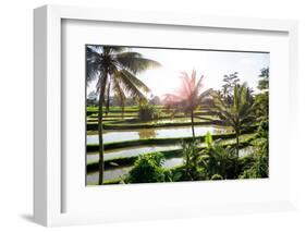 Dreamy Bali - Beautiful Rice Terraces-Philippe HUGONNARD-Framed Photographic Print