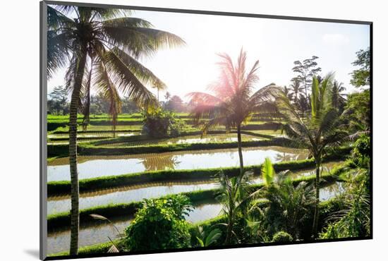 Dreamy Bali - Beautiful Rice Terraces-Philippe HUGONNARD-Mounted Photographic Print