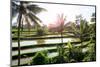 Dreamy Bali - Beautiful Rice Terraces-Philippe HUGONNARD-Mounted Photographic Print