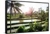 Dreamy Bali - Beautiful Rice Terraces-Philippe HUGONNARD-Framed Stretched Canvas