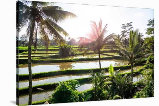 Dreamy Bali - Beautiful Rice Terraces-Philippe HUGONNARD-Stretched Canvas