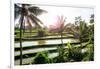 Dreamy Bali - Beautiful Rice Terraces-Philippe HUGONNARD-Framed Photographic Print