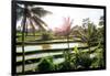 Dreamy Bali - Beautiful Rice Terraces-Philippe HUGONNARD-Framed Photographic Print