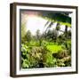 Dreamy Bali - Between Palm Leaves-Philippe HUGONNARD-Framed Photographic Print