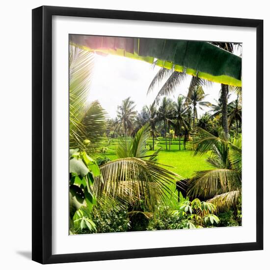 Dreamy Bali - Between Palm Leaves-Philippe HUGONNARD-Framed Photographic Print