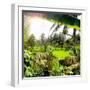 Dreamy Bali - Between Palm Leaves-Philippe HUGONNARD-Framed Photographic Print