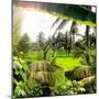 Dreamy Bali - Between Palm Leaves-Philippe HUGONNARD-Mounted Photographic Print