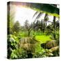 Dreamy Bali - Between Palm Leaves-Philippe HUGONNARD-Stretched Canvas