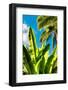 Dreamy Bali - Between the Leaves-Philippe HUGONNARD-Framed Photographic Print