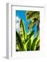 Dreamy Bali - Between the Leaves-Philippe HUGONNARD-Framed Photographic Print