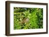 Dreamy Bali - Between the Palm Trees-Philippe HUGONNARD-Framed Photographic Print