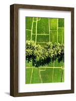 Dreamy Bali - Between Two-Philippe HUGONNARD-Framed Photographic Print