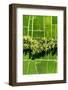 Dreamy Bali - Between Two-Philippe HUGONNARD-Framed Photographic Print