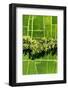 Dreamy Bali - Between Two-Philippe HUGONNARD-Framed Photographic Print