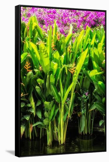 Dreamy Bali - Heliconia-Philippe HUGONNARD-Framed Stretched Canvas