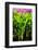 Dreamy Bali - Heliconia-Philippe HUGONNARD-Framed Photographic Print