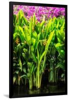 Dreamy Bali - Heliconia-Philippe HUGONNARD-Framed Photographic Print