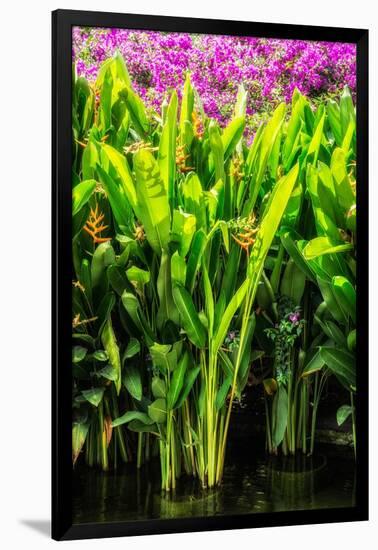 Dreamy Bali - Heliconia-Philippe HUGONNARD-Framed Photographic Print