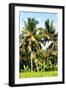 Dreamy Bali - Palm Trees-Philippe HUGONNARD-Framed Photographic Print