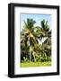 Dreamy Bali - Palm Trees-Philippe HUGONNARD-Framed Photographic Print