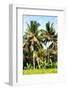 Dreamy Bali - Palm Trees-Philippe HUGONNARD-Framed Photographic Print