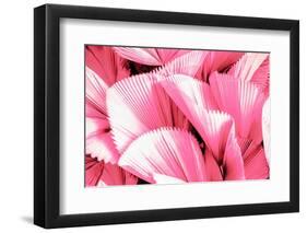 Dreamy Bali - Pink Palm Leaves-Philippe HUGONNARD-Framed Photographic Print