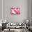 Dreamy Bali - Pink Palm Leaves-Philippe HUGONNARD-Framed Stretched Canvas displayed on a wall