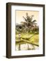 Dreamy Bali - Rice Fields-Philippe HUGONNARD-Framed Photographic Print