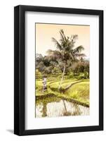 Dreamy Bali - Rice Fields-Philippe HUGONNARD-Framed Photographic Print