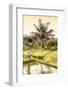 Dreamy Bali - Rice Fields-Philippe HUGONNARD-Framed Photographic Print