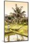 Dreamy Bali - Rice Fields-Philippe HUGONNARD-Mounted Photographic Print