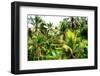 Dreamy Bali - Rice Terraces Between Palm Trees-Philippe HUGONNARD-Framed Photographic Print