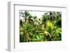 Dreamy Bali - Rice Terraces Between Palm Trees-Philippe HUGONNARD-Framed Photographic Print